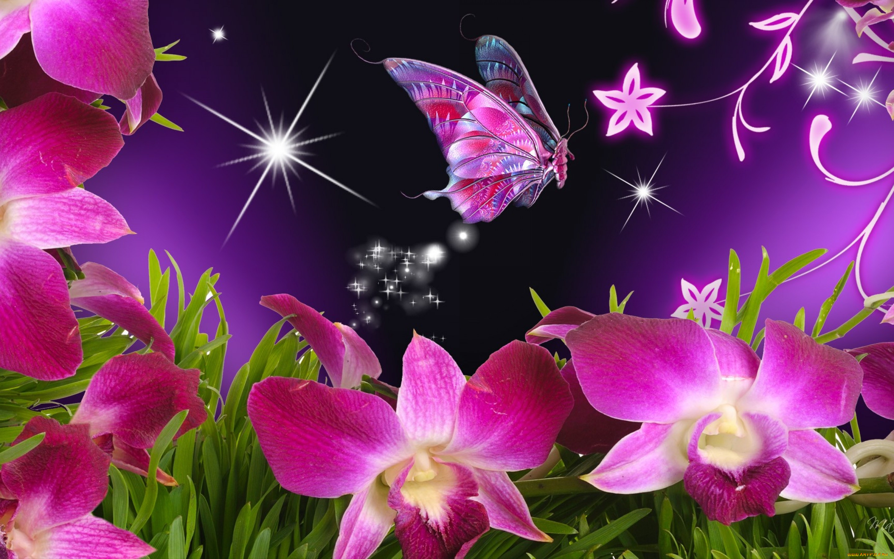 Открытки на экран телефона. Сказочные цветы. Бабочка на цветке. Очень красивые цветы. Красивый фон на телефон.